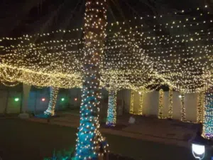Wedding Fairy Lighting Rental Muscat  Candle Effect Decor Lights  Wedding & Event Decoration