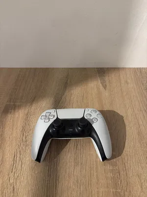 Ps5 controller