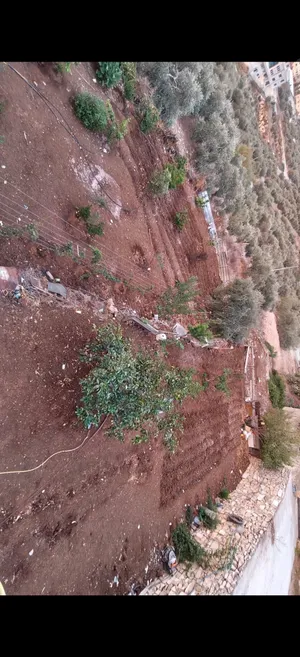 Mixed Use Land for Sale in Nablus Beit Wazan