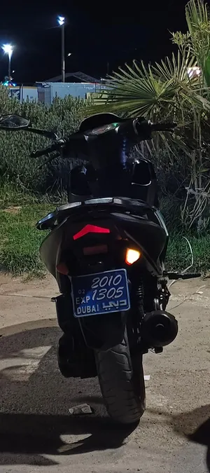 2010 lifan