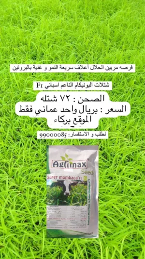 شتلات البونيكام الناعم الاسباني F1 ، سماد عضوي مخصب