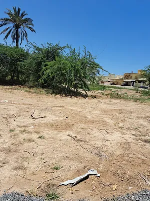 أرض سكنيه للبيع صحار العوينات الساحل