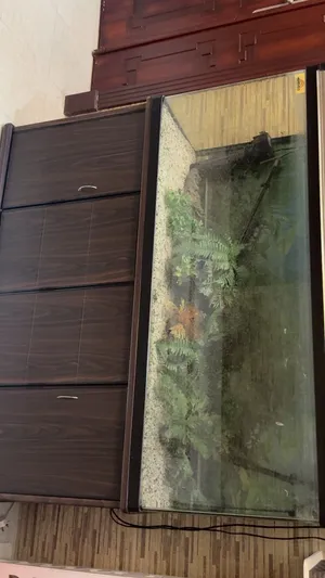 حوض سمك كبير مستعمل للبيع 300