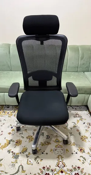 Highly Customizable Ergonomic Mesh Back Black Chair