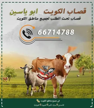 قصاب تحت الطلب ذبح وتوصيل ال منزال