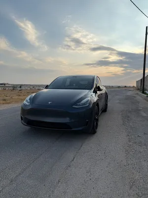 تيسلا موديل Y 2021 stander range