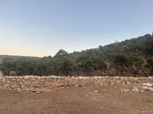 Farm Land for Sale in Jerash Tal Al-Rumman