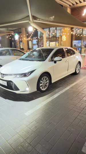 Used Toyota Corolla in Abu Dhabi
