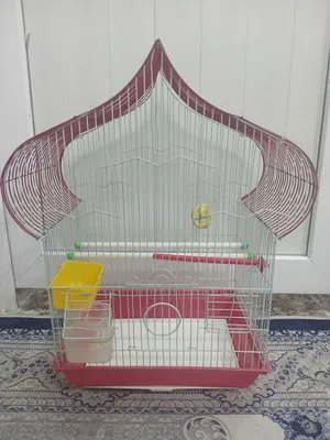 قفص طيور للبيع (قەفەسی باڵندە بۆ فرۆشتن)