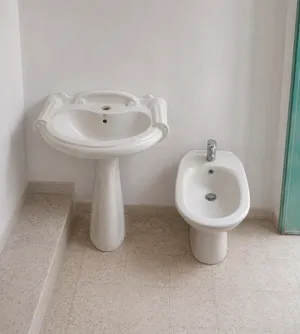 شطاف مقعدة