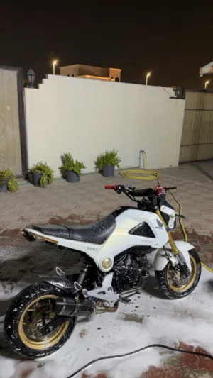 Honda grom 2016 ( two original key and papers)