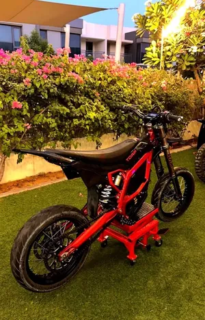 2025 SURRON ULTRA