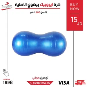 كرة إيروبيك بيضاوي MD Buddy الأصلية -كرة تدريب احترافية لتمارين التوازن واللياقة والمرونة