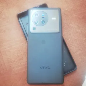 Vivo X Series 256 GB in Salt