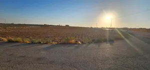 أرض للايجار