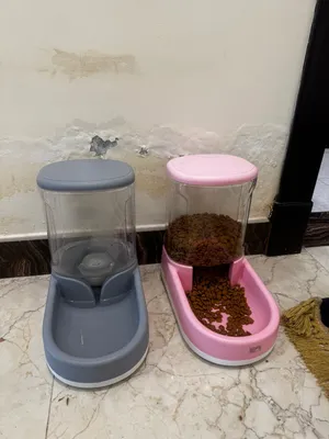 Cat and coctail for sale