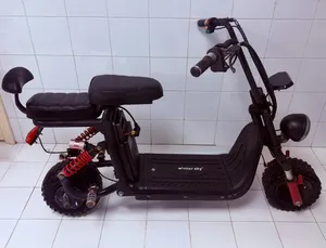 Winner Sky Electric Scooter - Working + Charger Included