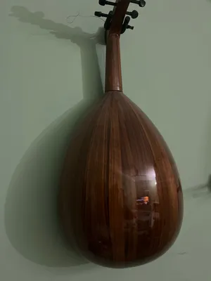 عود تركي للبيع