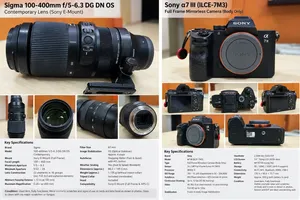 Sony A7 III & Sigma 100–400mm f/5–6.3 DG DN OS Contemporary