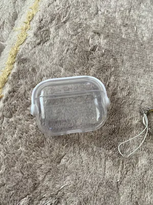Earphone protective case