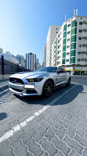 Mustang 207KM - 2015 - New Mulkiya - Turbo ( Stu Stu Stu ) - V4