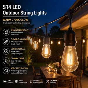 Vintage Edison String Lights – indoor and Outdoor & Garden Decorative Lighting