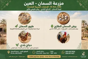 بيض وطيور الفري