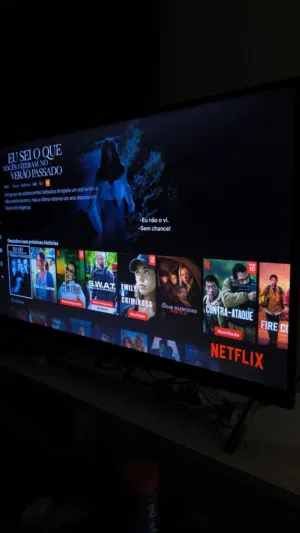 Netflix Accounts and Characters for Sale in Sabha