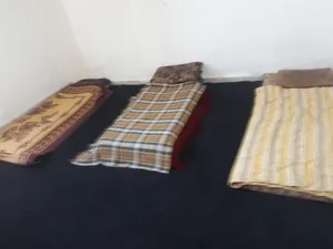 Semi Furnished Monthly in Amman Swelieh