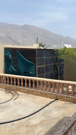 قفص طيور او دجاج