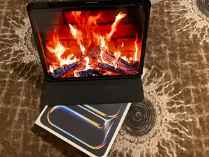 Apple iPad Pro 11 256 GB in Madaba