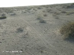 ارضيه في قلب الجاح وادي النخيل عرطه بمعنى الكلمه تابع الوصف