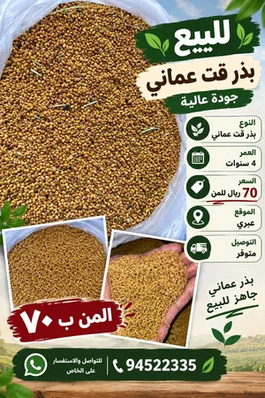 بذر قتل للبيع عمر أكثر من أربع سنوات