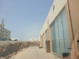 للايجار محلات ممتازه بسوق ام الخير في المعبيلة الجنوبية قرب كلية السيارات