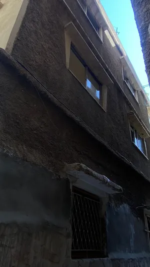محمد الرمحي
