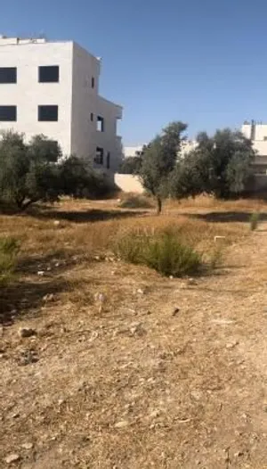 قطعة أرض سكنية للبيع في اليادودة - طريق المطار