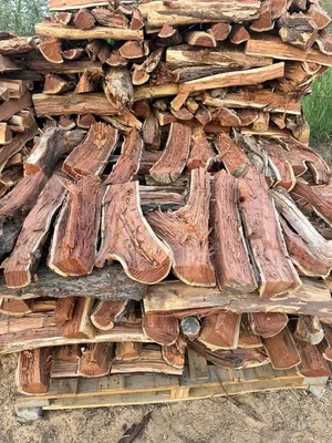 حطب سمر للبيع      Firwoo حطب للبيع في دبي حطب للبيع في عجمان حطب للبيع  ابوظبي  حطب للبيع دبي