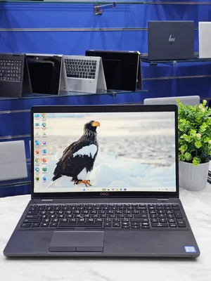 Dell latitude 5500  Core i5 Processor  8th Gen 8gb ddr4 Ram 256gb ssd Intel HD shared Graphics