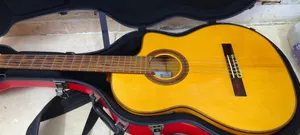 guitar cordoba with case