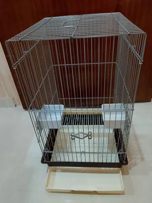 BIRD CAGE PARROT BIRD