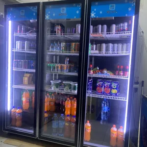 ثلاجة عرض ROVA للبيع