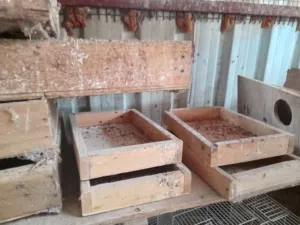 food tray  wood