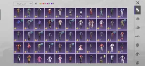 Pubg Accounts and Characters for Sale in Dubai