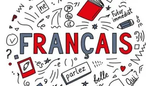 مدرسة لغة فرنسية / French teacher