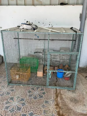 قفص كبير متر وربع ف متر ونص