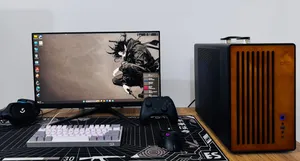 Rx 9060 xt & R5 9600x