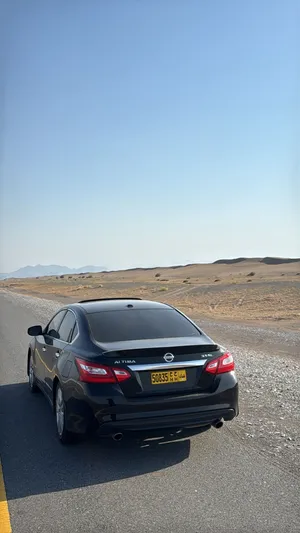 التيما2016