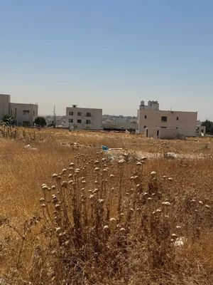 أرض مميزه للبيع على شارعين بمنطقه راقيه، الجويده المستندات و ام زعروره