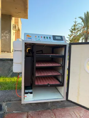 حاضنه بيض للدواجن مستعمله مره واحده وممتازه وسهله الاستخدام
