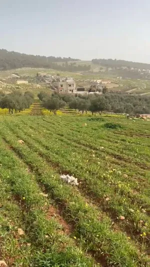 للبيع قطعة أرض مميزة جرش ام قنطره